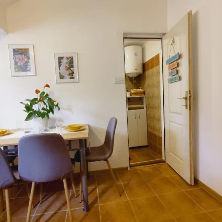 Orhideja Novi Banovci