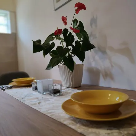 Orhideja Novi Banovci